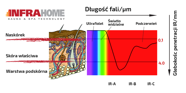 Wykres długości fali zestawiony z głębokością penetracji fal podczerwonych